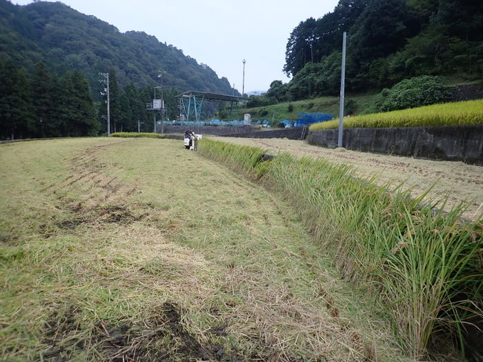稲刈り_c0116915_01272738.jpg