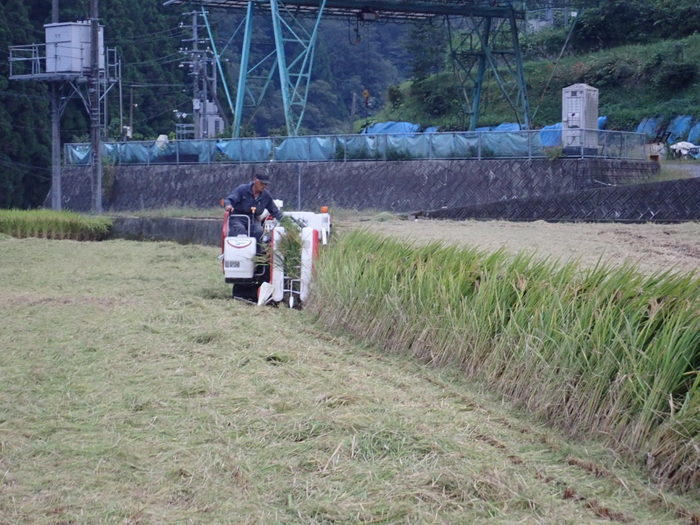 稲刈り_c0116915_01274791.jpg