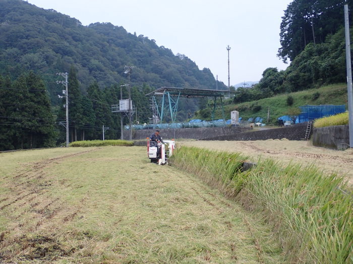 稲刈り_c0116915_01275856.jpg
