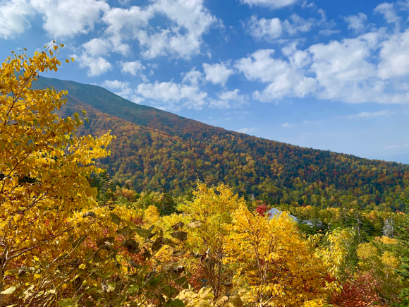 紅葉が綺麗です🍁 _f0096216_11391575.jpg