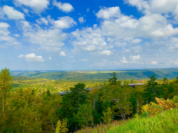 紅葉が綺麗です🍁 _f0096216_11401174.jpg