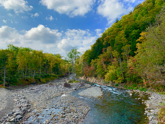 紅葉が綺麗です🍁 _f0096216_11401946.jpg