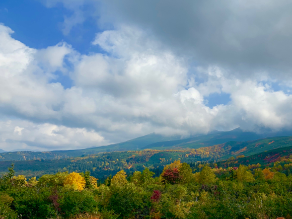 紅葉が綺麗です🍁 _f0096216_11421396.jpg