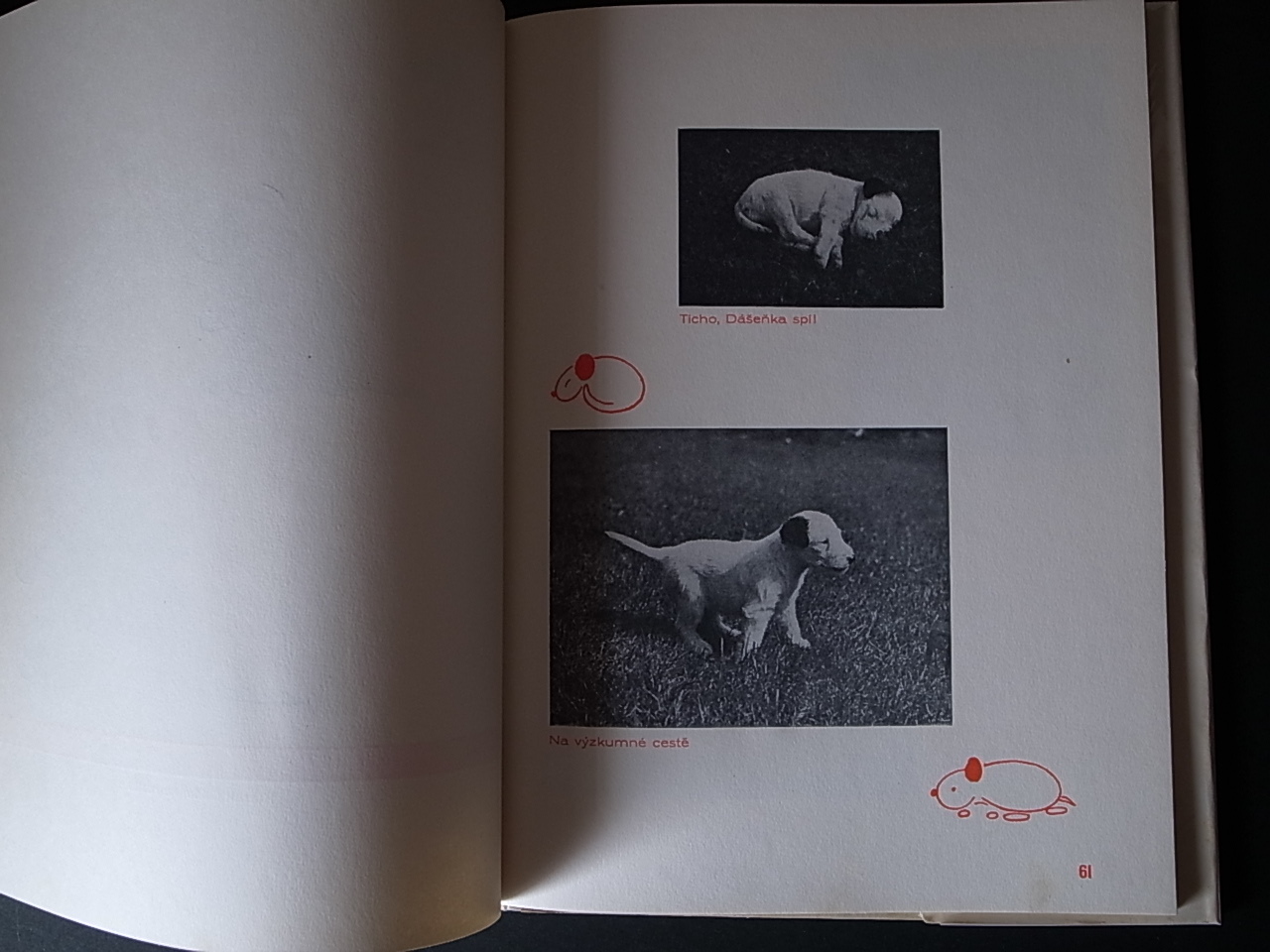 DASENKA / Karel Capek, Karel Teige (Graphic design)_a0227034_14374346.jpg