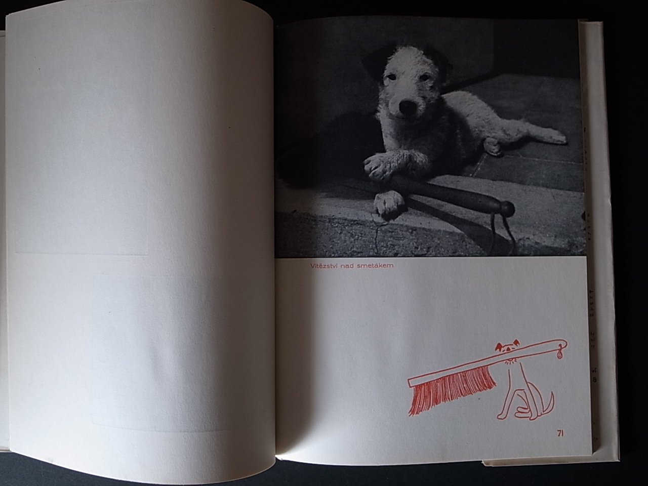 DASENKA / Karel Capek, Karel Teige (Graphic design)_a0227034_14375988.jpg