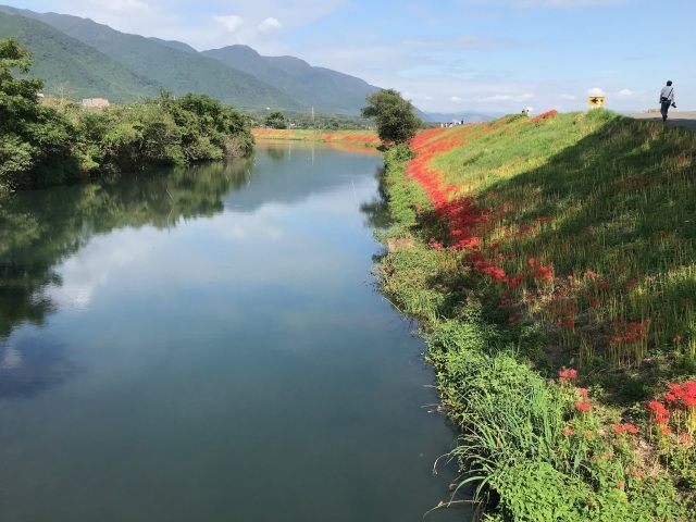 行楽日和  彼岸花見に行く 岐阜県津屋川_d0101846_06282257.jpeg