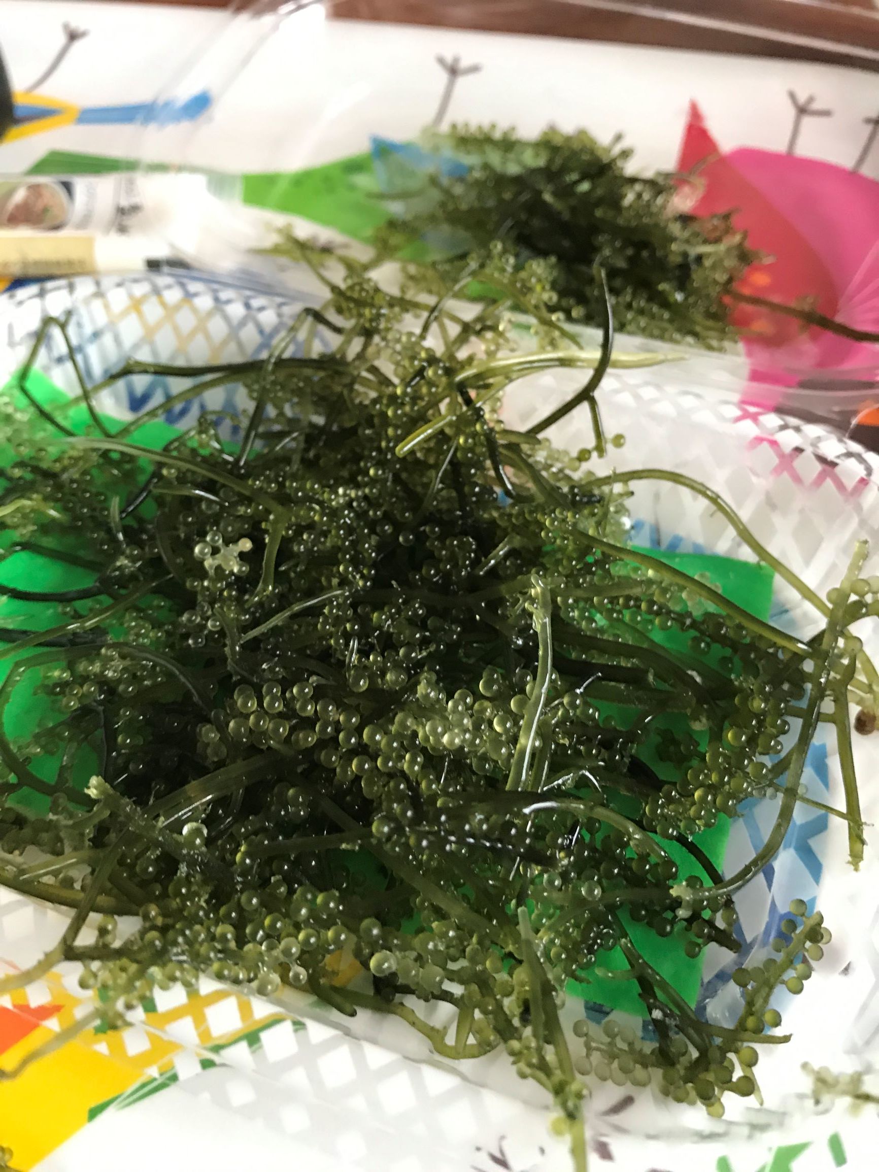 運動会には、うちわが必需品ですね。_f0009169_07523425.jpg