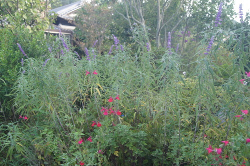 e0181373_21042105.jpg