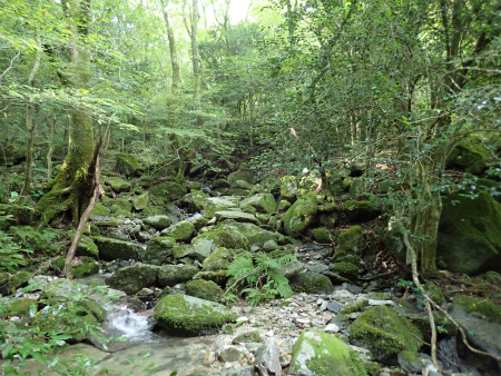 d0182075_03311860.jpg