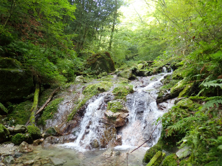 d0182075_03313645.jpg