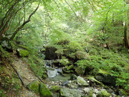 d0182075_03314109.jpg