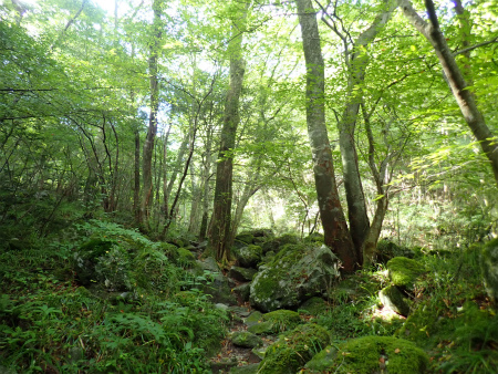 d0182075_03314726.jpg