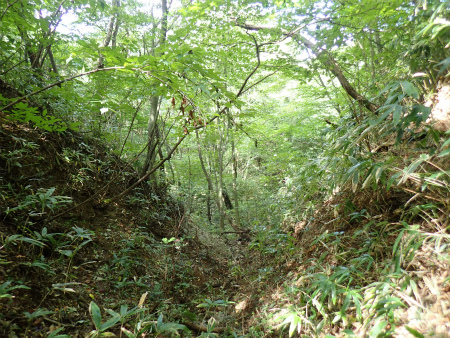 d0182075_03331121.jpg