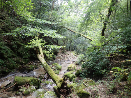 d0182075_03333559.jpg