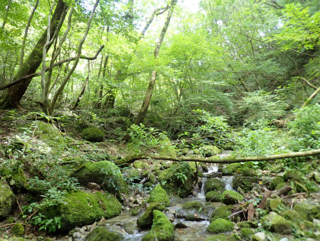 d0182075_03334344.jpg