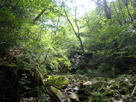 d0182075_03340497.jpg