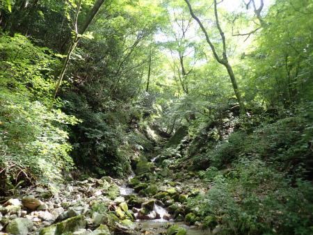 d0182075_03350577.jpg