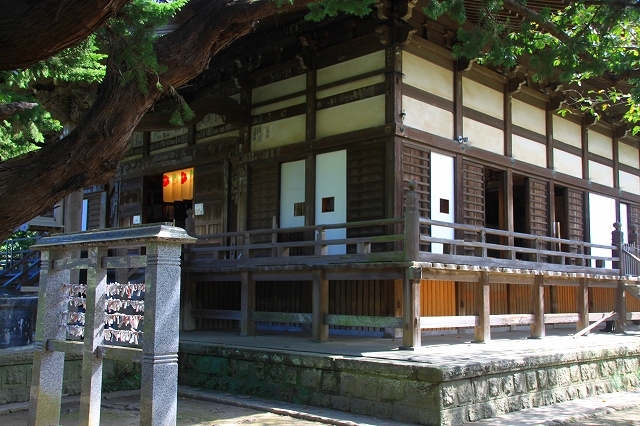 鎌倉の秋の花 宝戒寺の萩_f0374092_17142252.jpg