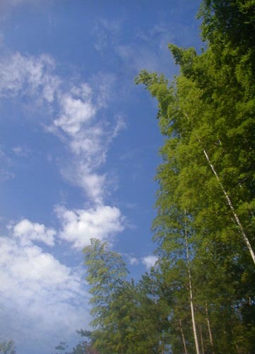 d0053294_22104561.jpg
