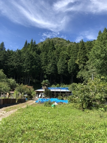 USAの山懐の家大改修ing_d0087595_10144294.jpeg