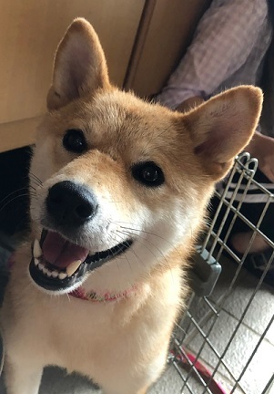 みかんちゃんお届けの旅♪_f0242002_13195613.jpg