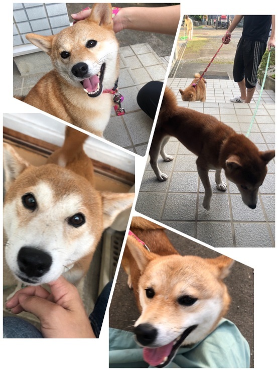 みかんちゃんお届けの旅♪_f0242002_13200124.jpg
