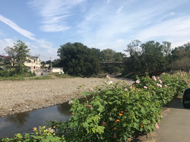 みかんちゃんお届けの旅♪_f0242002_13204432.jpg