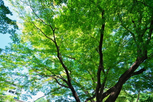 a0263109_22025682.jpg