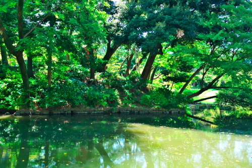 a0263109_22033223.jpg