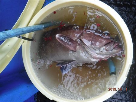 ヒラメ釣り_f0031613_19234232.jpg