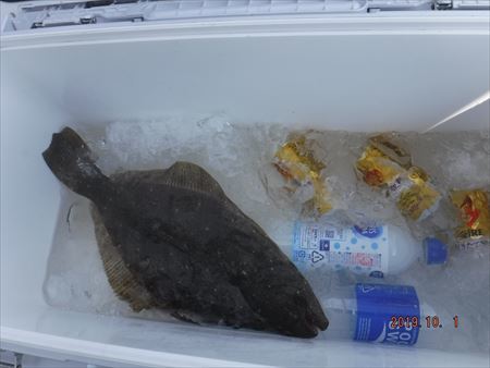 ヒラメ釣り_f0031613_19234588.jpg