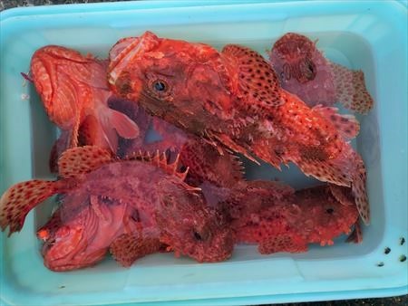 ヒラメ釣り_f0031613_19242096.jpg