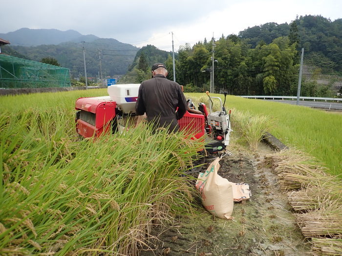 今日も稲刈り_c0116915_00391842.jpg