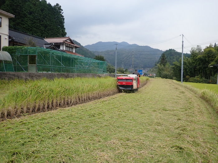 今日も稲刈り_c0116915_00394094.jpg