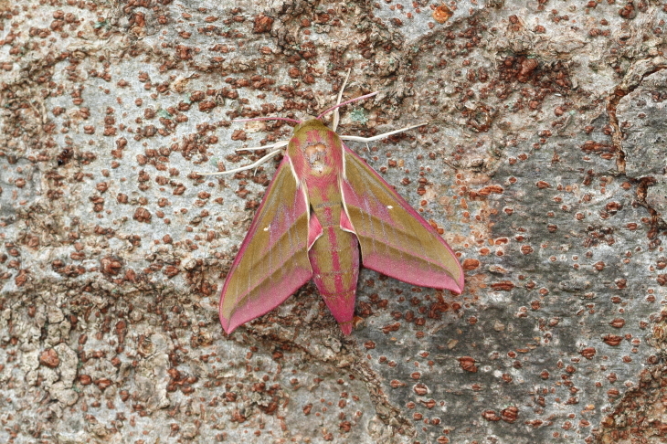 e0337826_06454738.jpg
