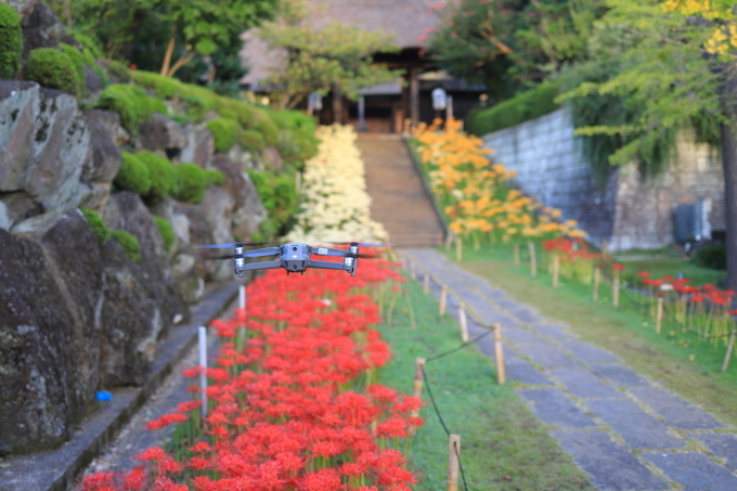 【西方寺】早朝撮影_f0348831_06541990.jpg