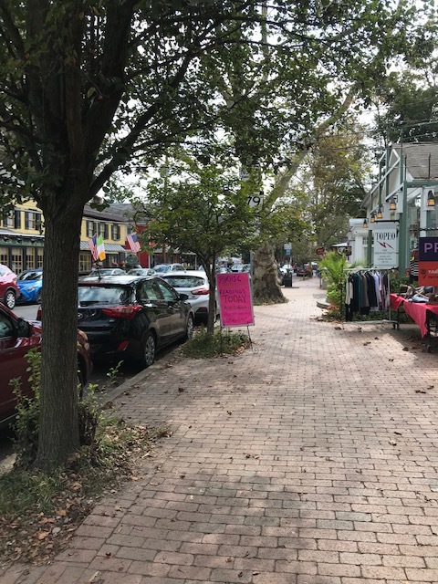 日帰りも出来る可愛らしい小さな街ニューホープで街歩き_d0269832_22040545.jpeg