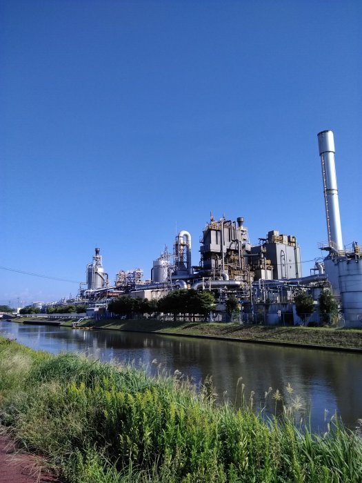 日中ウォーキング 良い気候です♪♪_c0117936_16244275.jpg