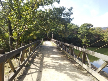 甲山森林公園(秋を歩こう)_c0218841_11162445.jpg