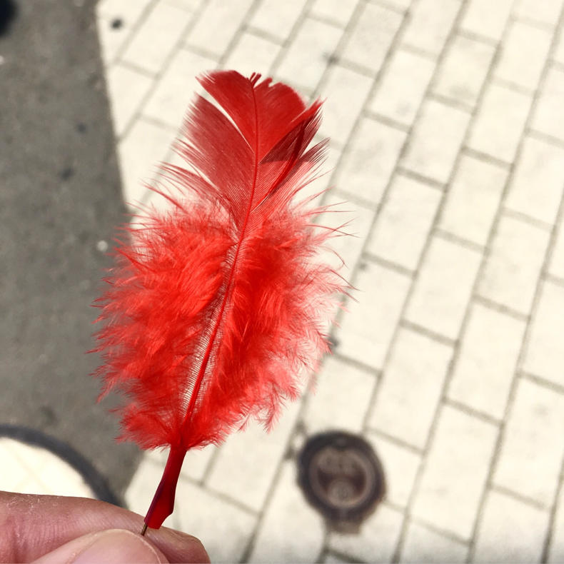 健康診断と赤い羽根_c0060143_11340836.jpg