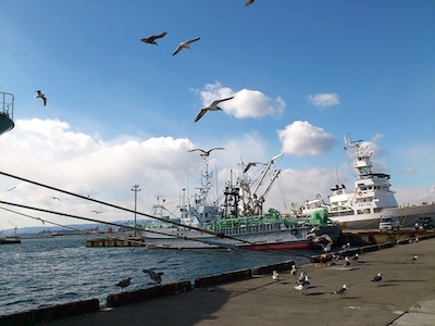 真言の音楽 小名浜の鬼 部落育ち 旅打ちはまるで小名浜のカモメ 陽差しも美と知る 落葉の赤落ちて 小名浜の夕陽を背に受け港へ向かえ 小名浜の汽笛を背に受け都で歌え Signifie Signifiant 真言の音楽 小名浜の鬼 部落育ち 旅打ちはまるで小名浜のカモメ 陽差しも美と知る 落葉の赤落ちて 小名浜の夕陽を背に受け港へ向かえ 小名浜の汽笛を背に受け都で歌え Signifie Signifiant