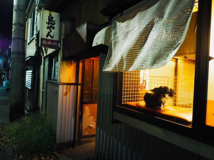 金沢 やきとり横丁 悦楽番外地