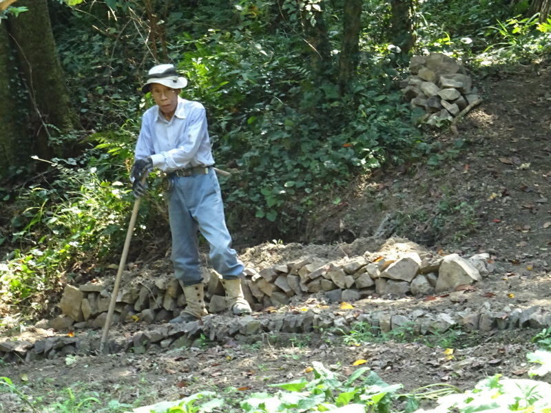 c0108460_17062729.jpg