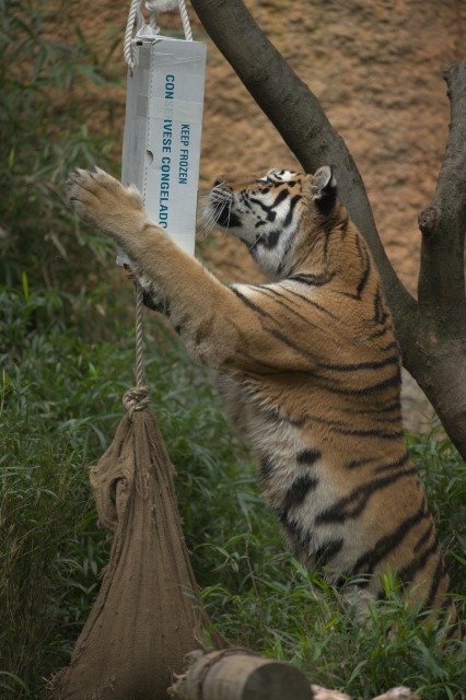 a0188771_23225368.jpg