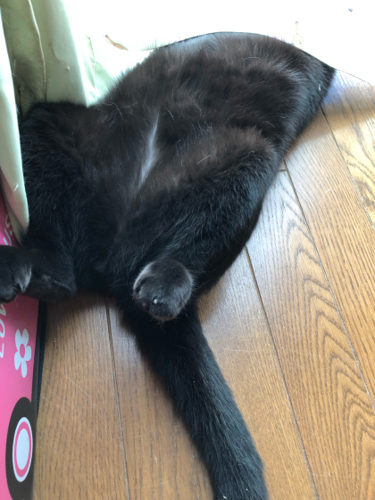 パカっと! 10月!_e0355177_11015802.jpg