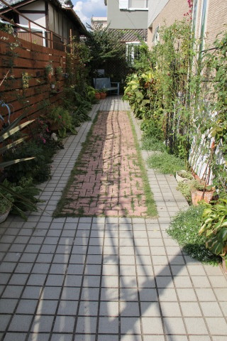 e0154682_23295212.jpg