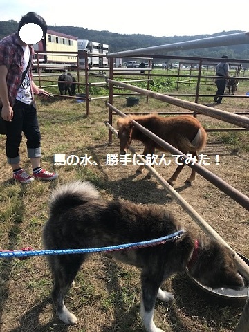 曼珠沙華まつりと川遊び♪_f0242002_10062766.jpg