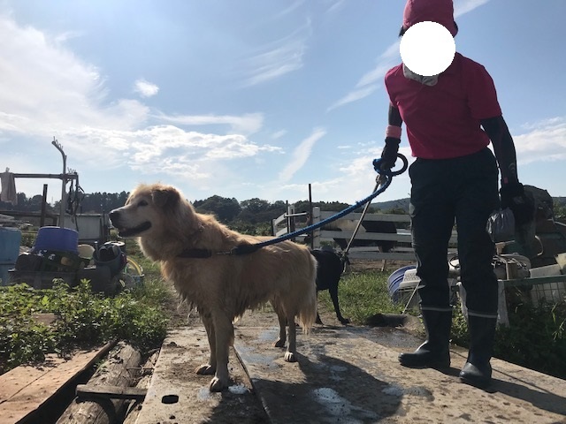 曼珠沙華まつりと川遊び♪_f0242002_10453318.jpg