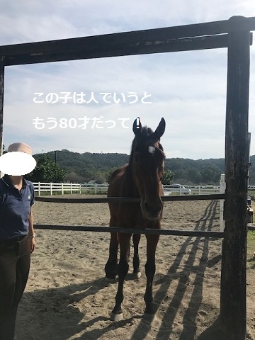 曼珠沙華まつりと川遊び♪_f0242002_10563401.jpg