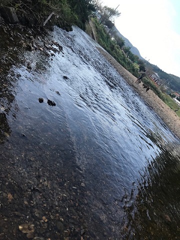 曼珠沙華まつりと川遊び♪_f0242002_11120803.jpg